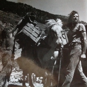 Profilbild von Carsten Tiede