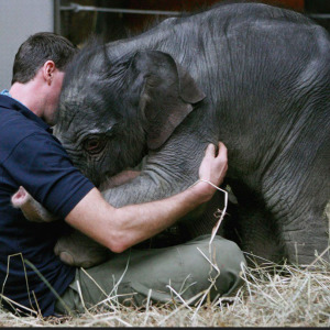 Profilbild von Christian Ast