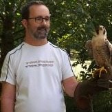 Profilbild von Christian Lamberg