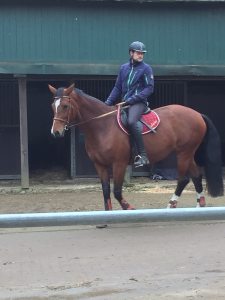 Profilbild von Christian Sehlke