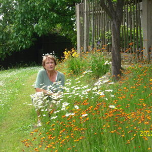 Profilbild von Christiane Großmann