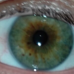 Profilbild von Christina Veres