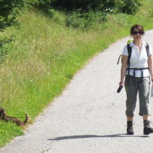 Profilbild von Christine Frickinger