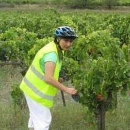 Profilbild von Christine Raschke