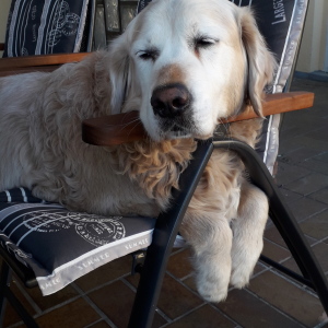 Profilbild von Claudia Neumann