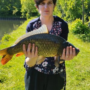 Profilbild von Claudia Nöhring
