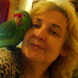 Profilbild von Claudia Schumann