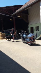 Profilbild von Claus Bussmann