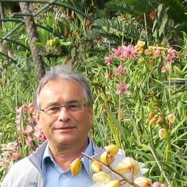 Profilbild von Clemens Ernst