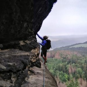 Profilbild von Conny Bannek
