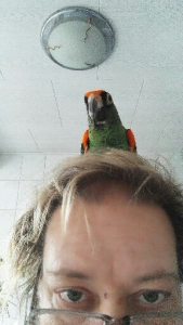 Profilbild von Corina Kahl