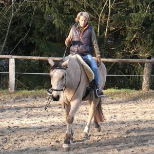 Profilbild von Cornelia Meigel