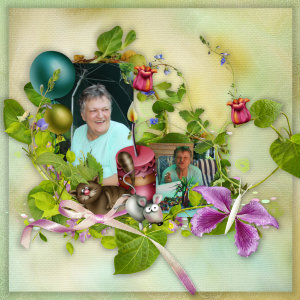 Profilbild von Dagmar Witte