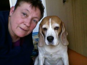 Profilbild von Dagmar Zenses