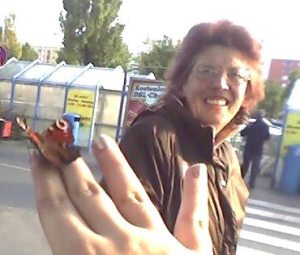 Profilbild von Dagmar Ziesche