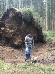 Profilbild von Dana Wenrich