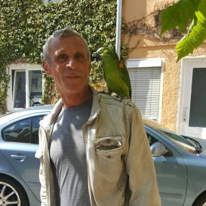 Profilbild von Daniel König