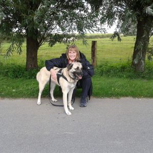 Profilbild von Daniela Czajka