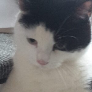 Profilbild von Daniela Weinhold