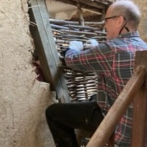 Profilbild von David Buys