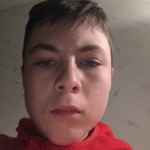 Profilbild von David Eckstein