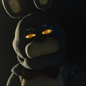 Profilbild von David Gieser