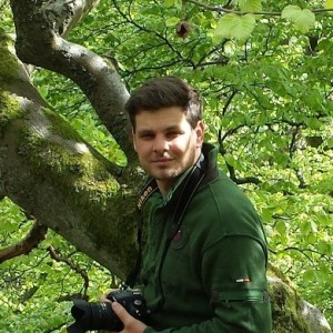 Profilbild von David Hernandez