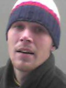 Profilbild von David Sommerfeld