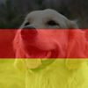 Profilbild von De Dagi