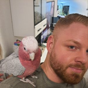 Profilbild von Dennis Hövel