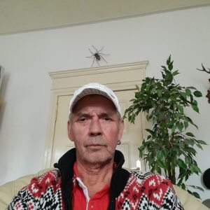 Profilbild von Detlef Scheiwe