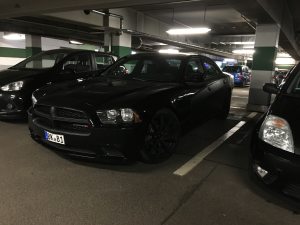 Profilbild von Diana Cherubim