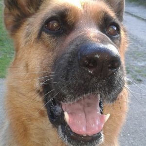 Profilbild von Diana Paul