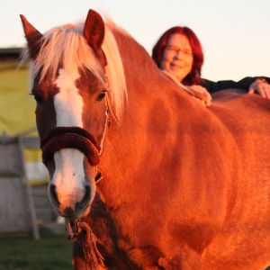 Profilbild von Diana Rötter