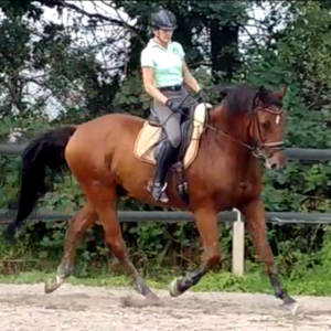 Profilbild von Diana Sattel