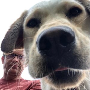 Profilbild von Dieter Brüning