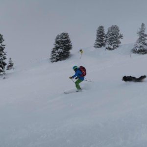 Profilbild von Dieter Rahmig