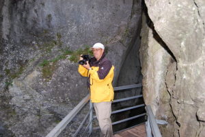 Profilbild von Diethard Arnold