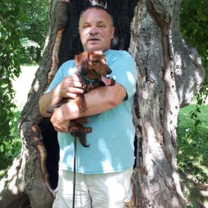 Profilbild von Diethard Trick