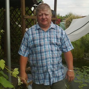 Profilbild von Dietmar Grote