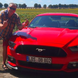 Profilbild von Dietrich Büttner