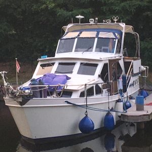 Profilbild von Dimo Giovas