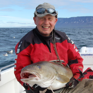 Profilbild von Dirk Bollmann