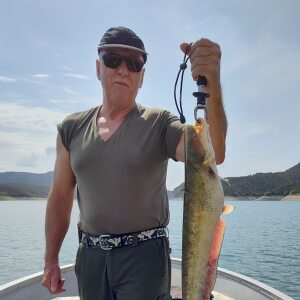 Profilbild von Dirk Hoenicke