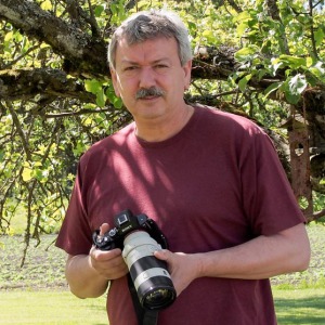 Profilbild von Dirk Rosin