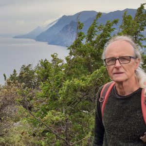 Profilbild von Dirk Werner