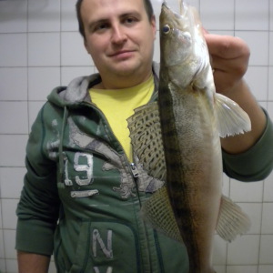 Profilbild von Dmitry Ivanov