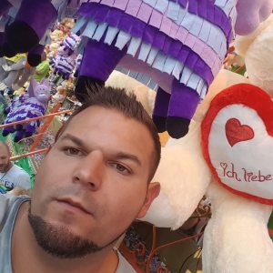 Profilbild von Dominik Meister