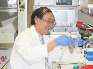 Profilbild von Dung Vu Chi