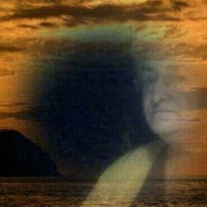 Profilbild von Edith Traeger